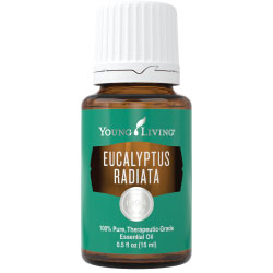 Eucalyptus Radiata Oil - Crunch Natural Parenting is where to buy