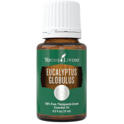 Eucalyptus Globules Oil - Crunch Natural Parenting is where to buy