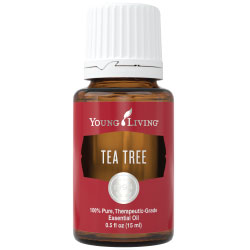 Tea Tree Oil - Crunch Natural Parenting is where to buy